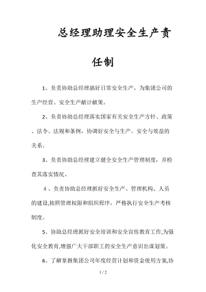 总经理助理安全生产责任制(清风出品).doc