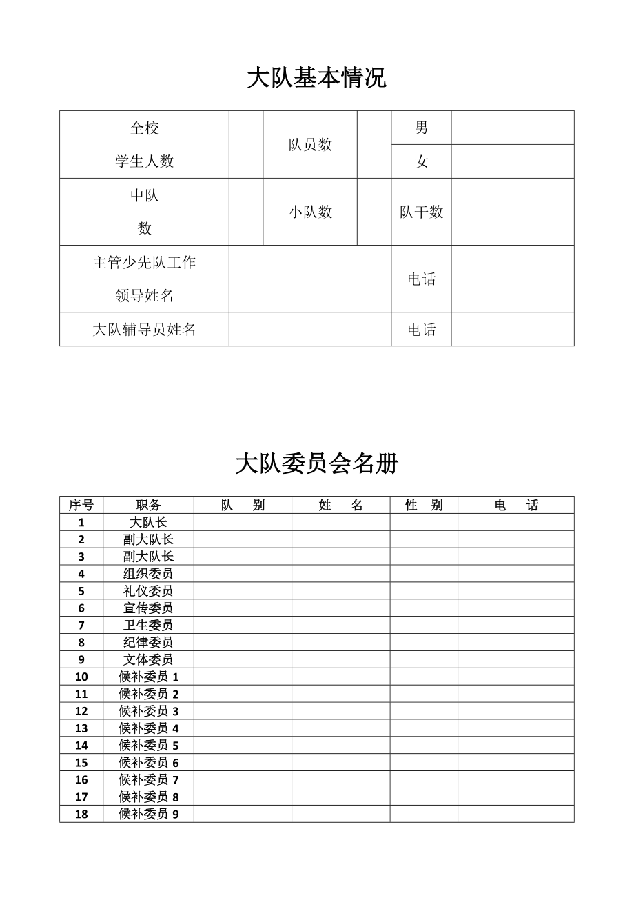 某某小学大队委员会工作手册.doc_第2页