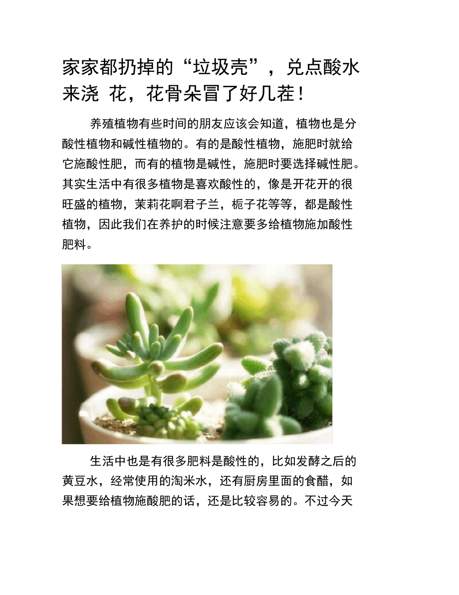 家家都扔掉的“垃圾壳”,兑点酸水来浇花,花骨朵冒了好几茬!-养花技巧.doc_第1页