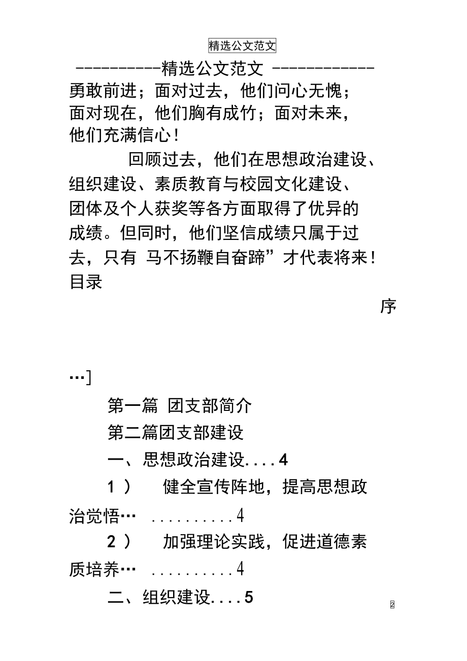 五四评优先进团支部评比材料.doc_第2页