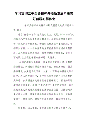 学习贯彻五中全会精神开拓新发展阶段美好前程心得体会.docx