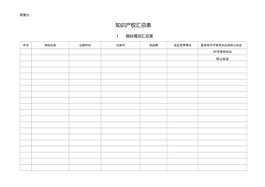 知识产权汇总表.doc_第1页