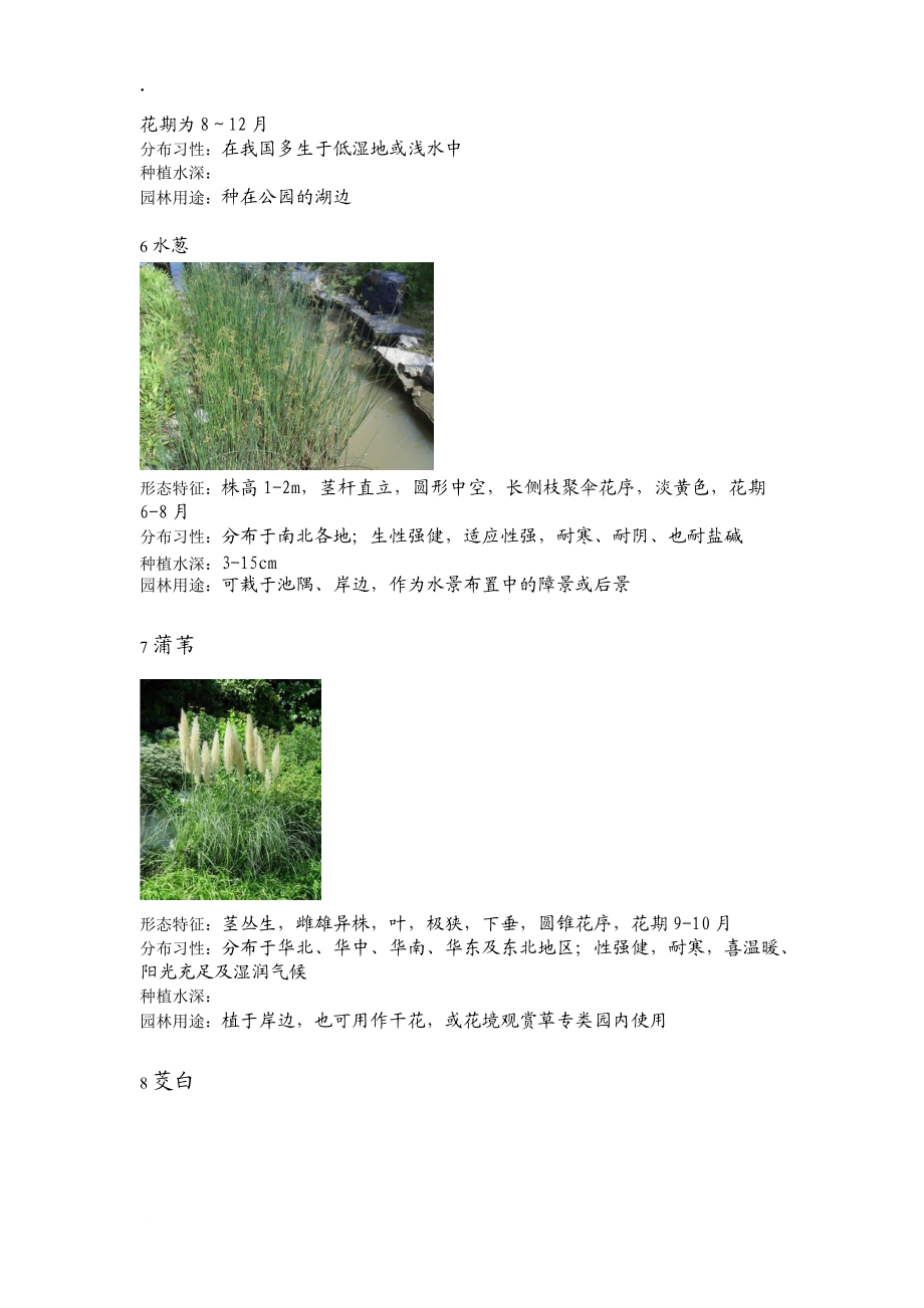 常用园林水生植物.docx_第3页