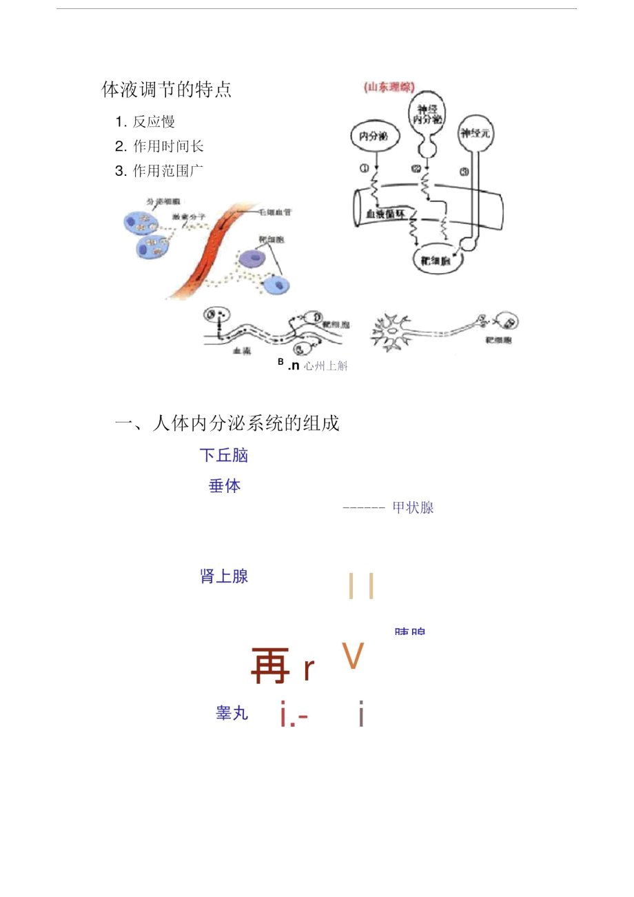 2014年第三节高等动物的内分泌系统与体液调节1..docx_第3页