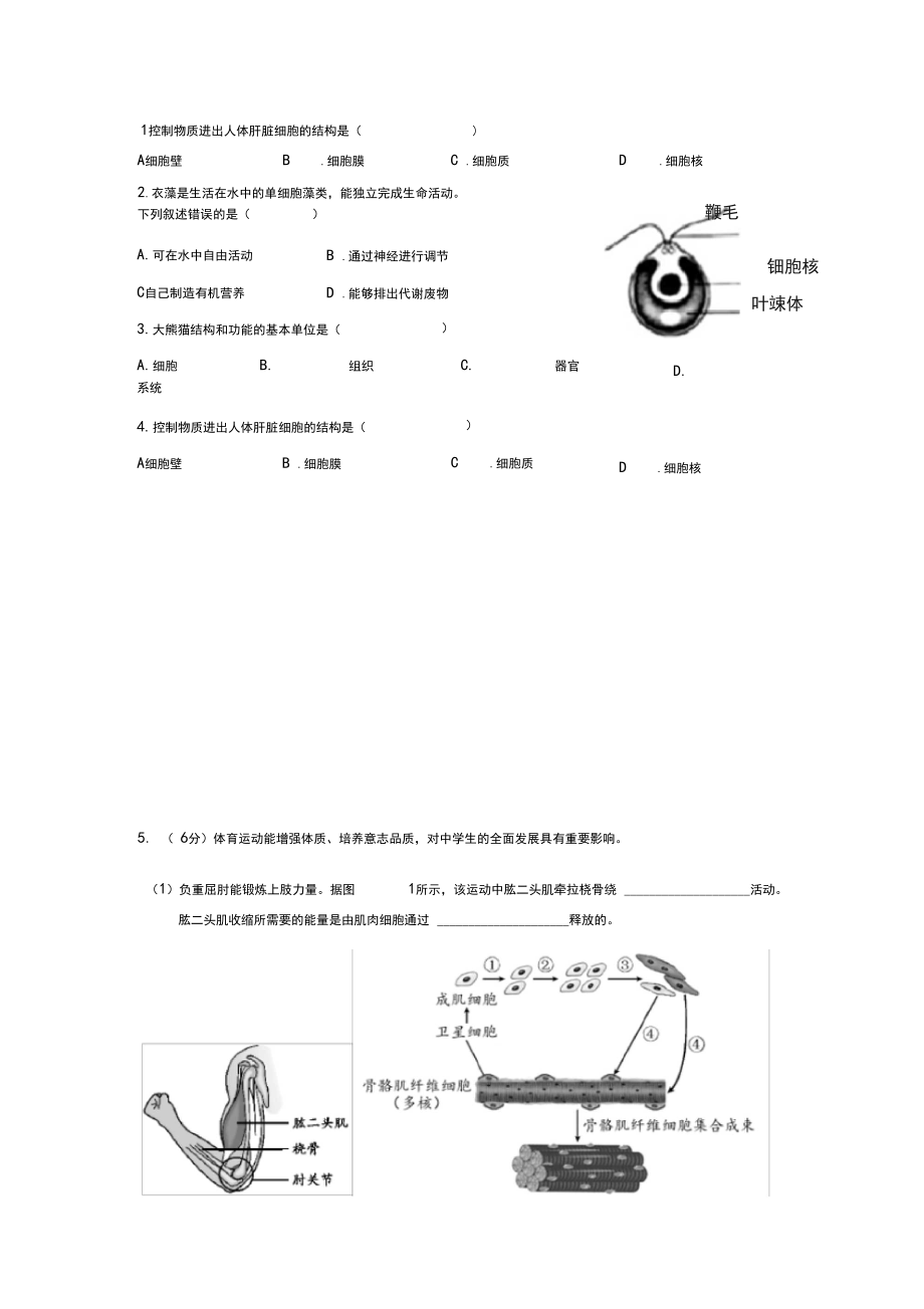 生物体的结构层次试题.docx_第1页