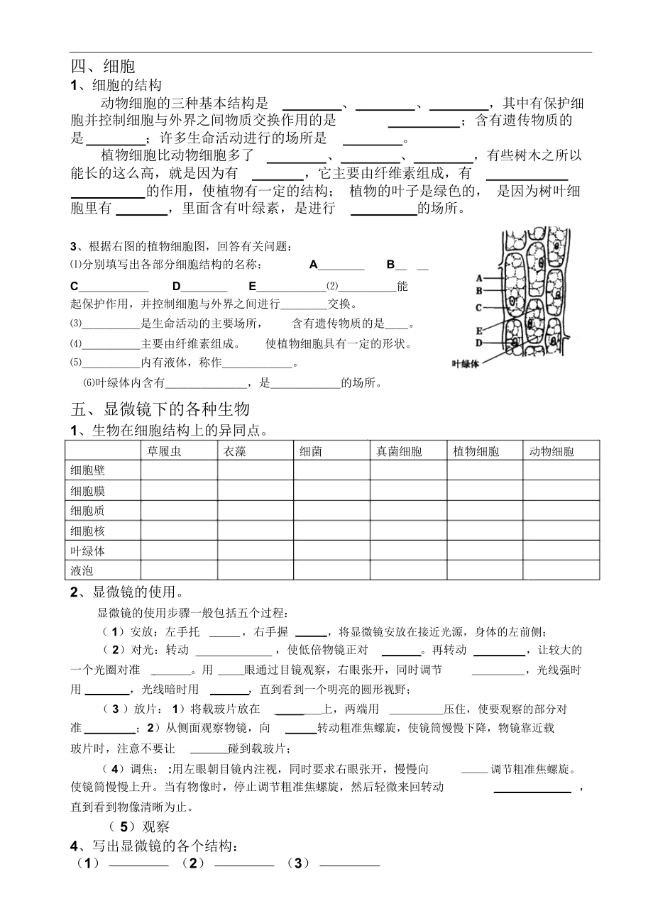 浙教版科学七年级上第二章观察生物复习资料.docx_第3页