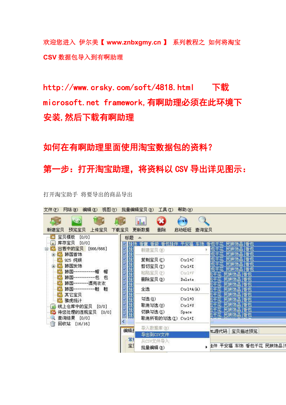 如何使用有啊助理导入CSV数据包.docx_第1页