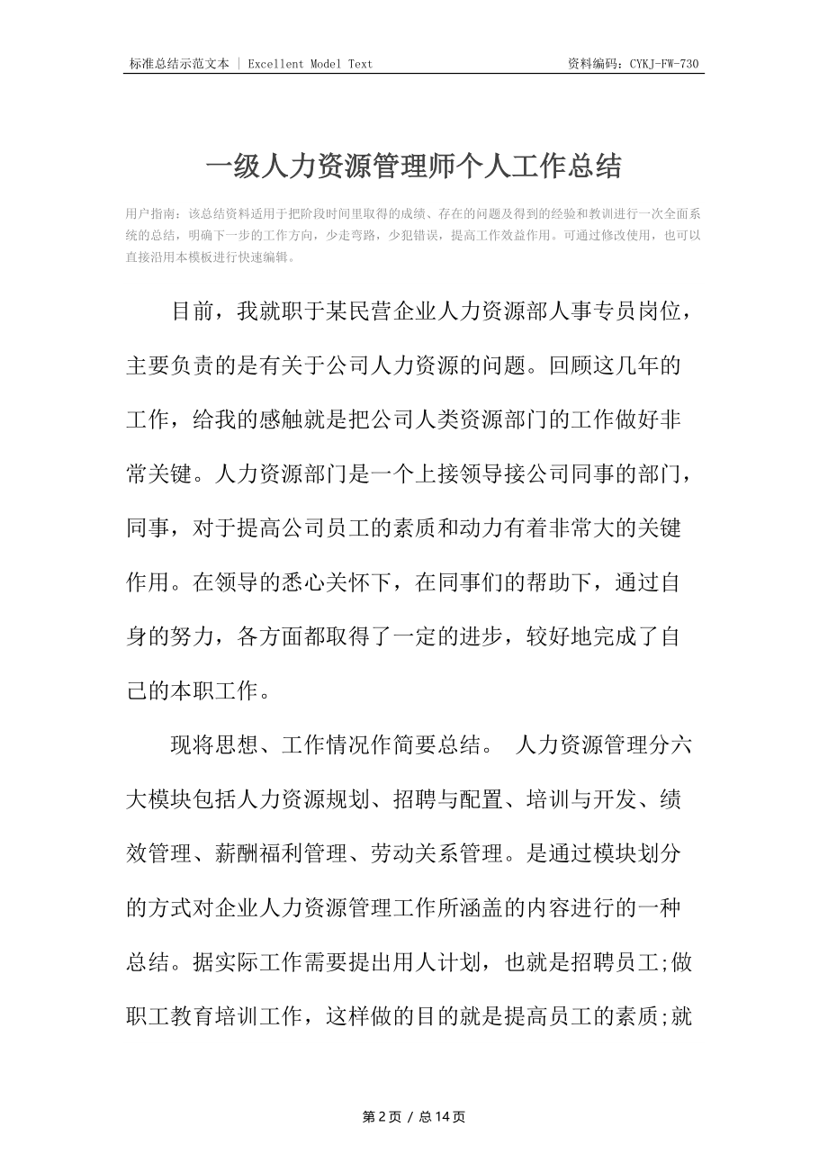 一级人力资源管理师个人工作总结.docx_第2页