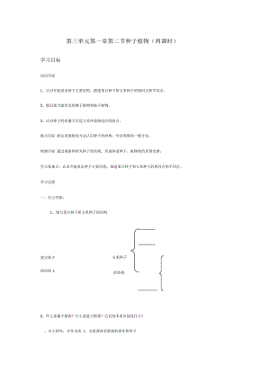 种子植物学案.docx