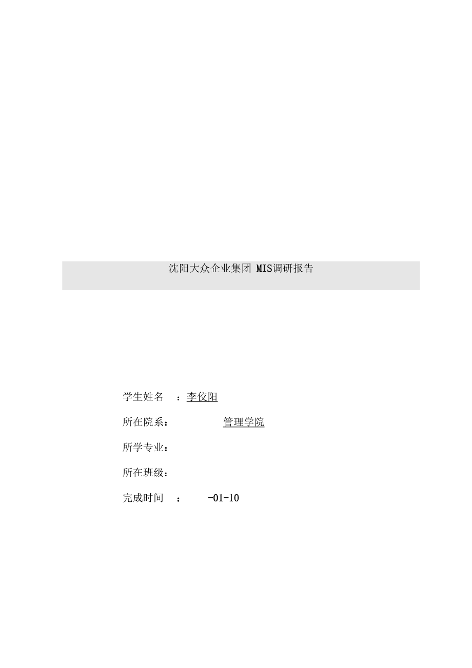 沈阳集团MIS调研报告.docx_第2页