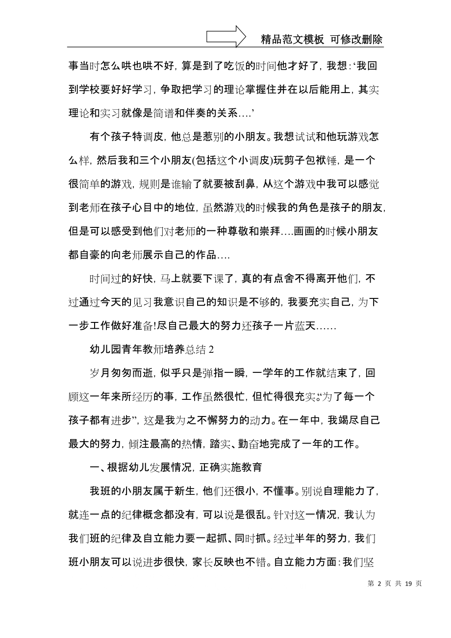 2021年幼儿园青年教师培养总结.docx_第2页