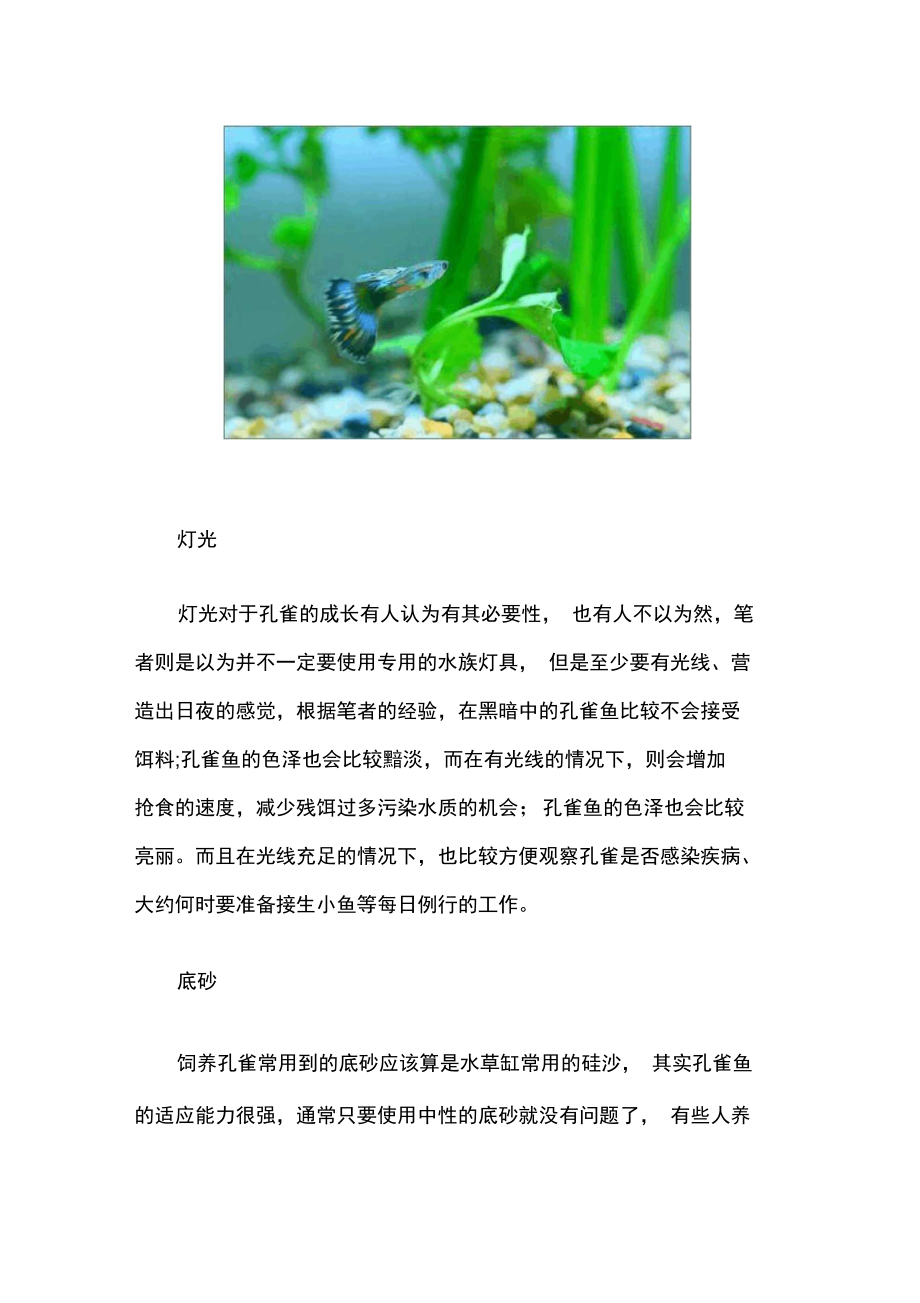 孔雀鱼灯光和底砂的选择.doc_第1页