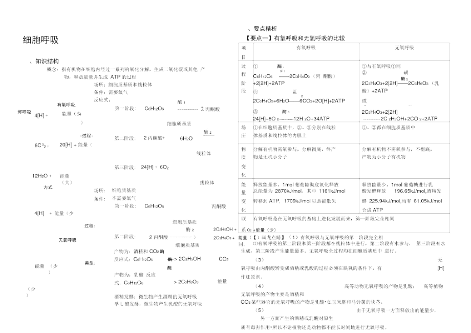 专题四-光合作用与呼吸作用总结.docx_第1页