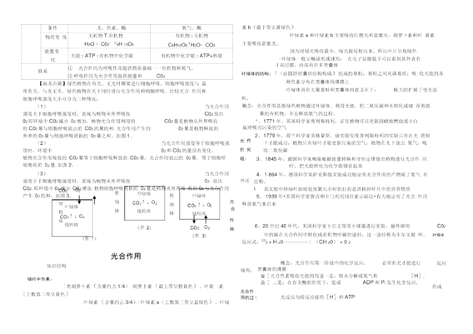 专题四-光合作用与呼吸作用总结.docx_第3页