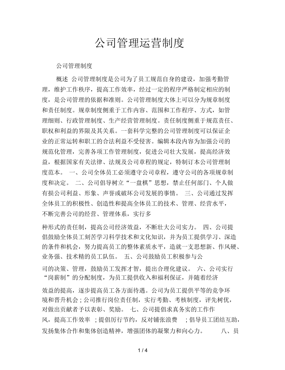 公司管理运营制度.docx_第1页