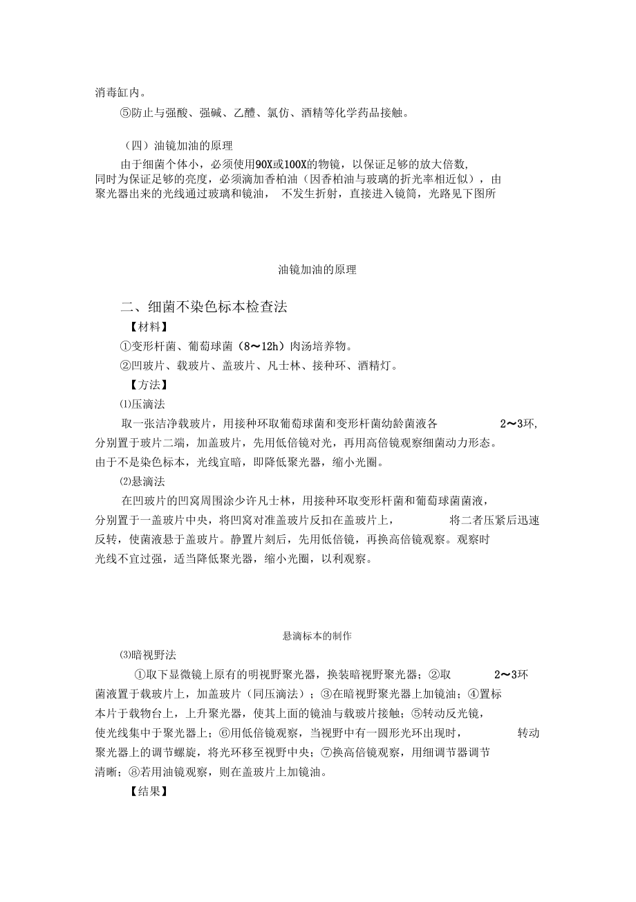 细菌形态检查.docx_第2页