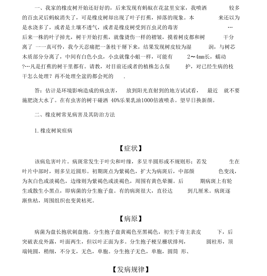 最新橡皮树的问题名师资料汇编.docx_第1页