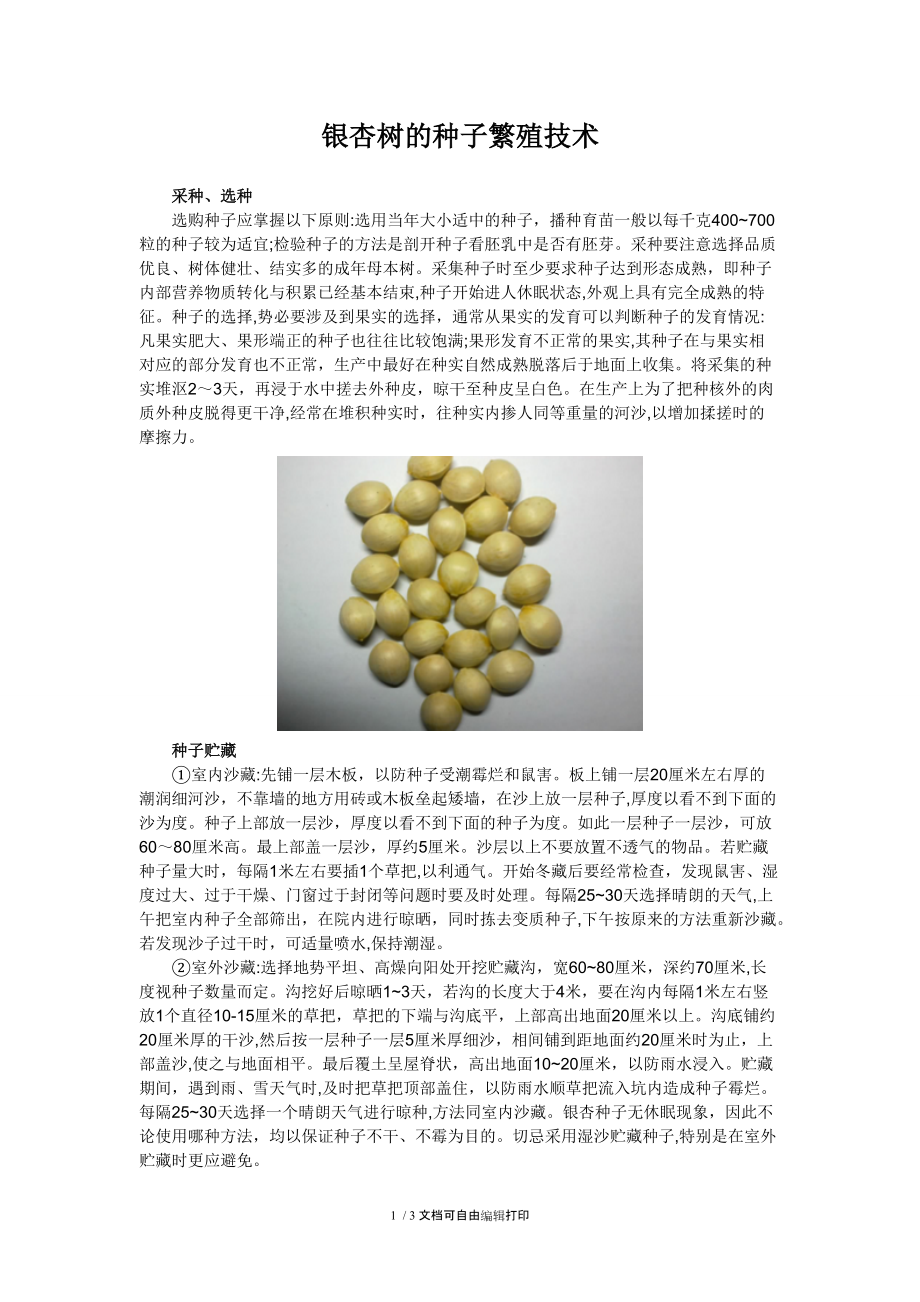 银杏树的种子繁殖技术.doc_第1页