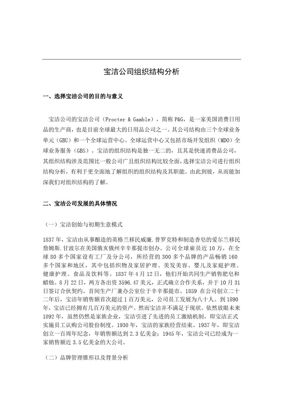 宝洁公司组织结构分析全新.doc_第1页