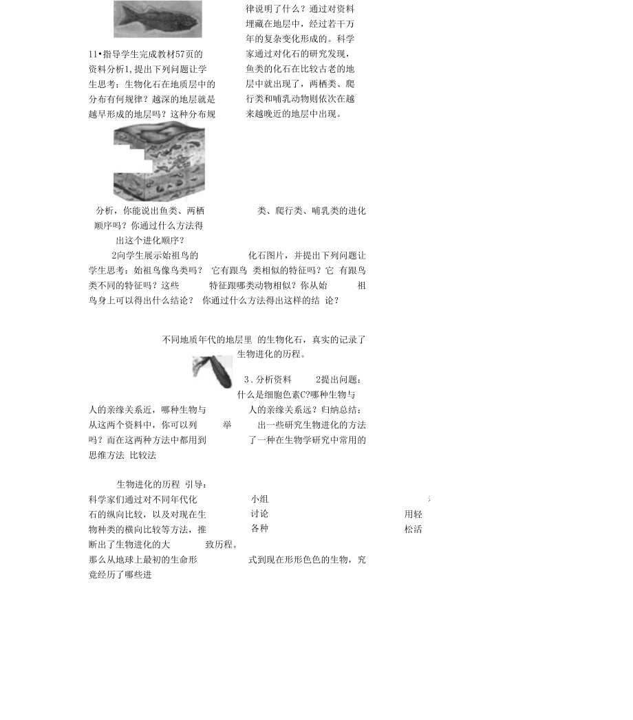 2017年春八年级生物下册第七单元第三章第二节生物进化的历程教学案(新版)新人教版.docx_第3页