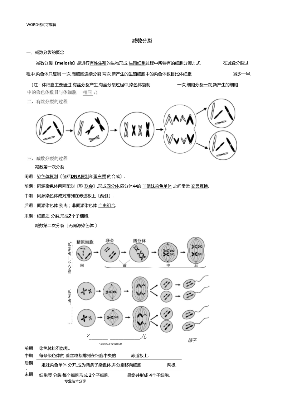 减数分裂知识点归纳与试题卷.docx_第1页