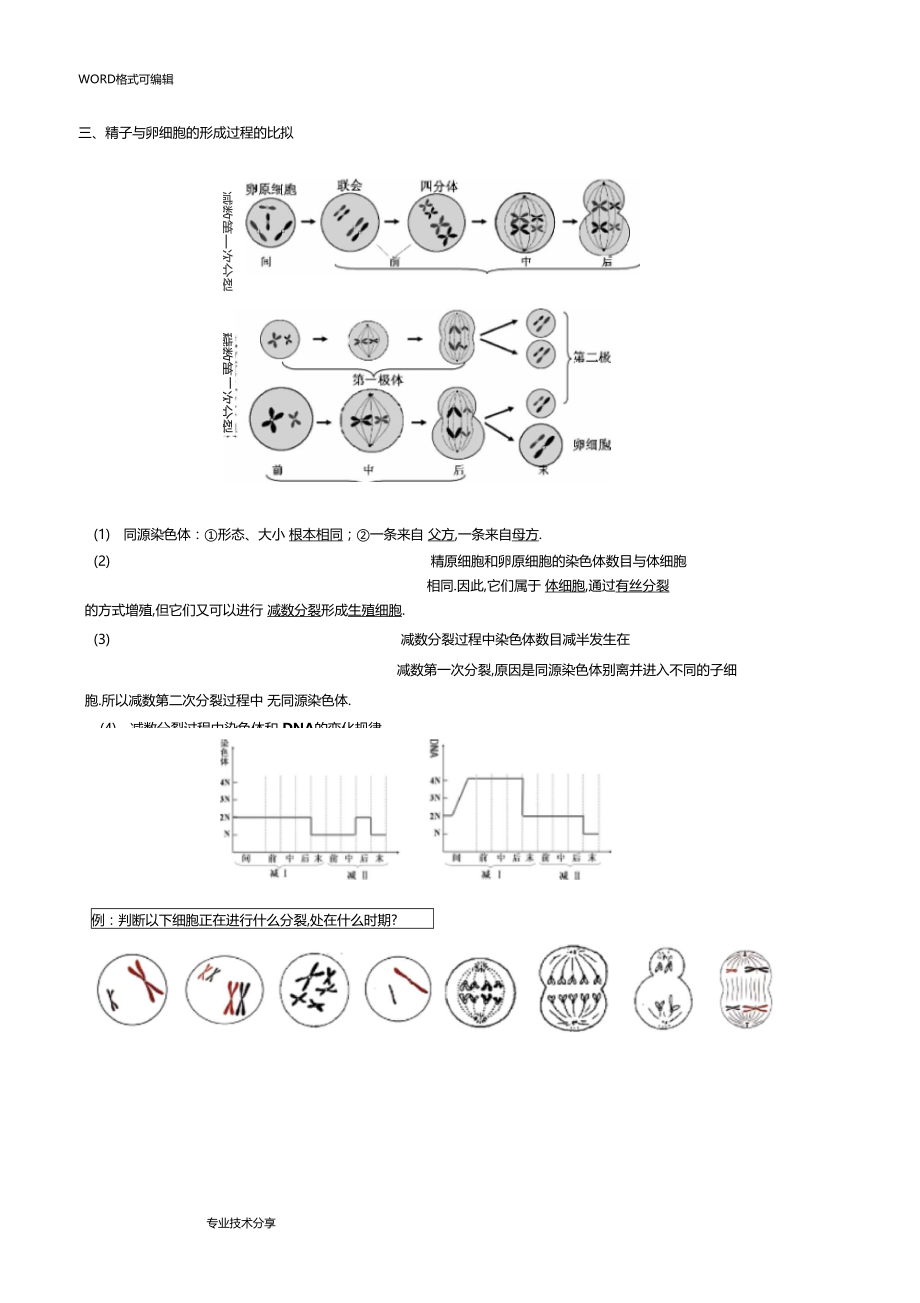 减数分裂知识点归纳与试题卷.docx_第2页