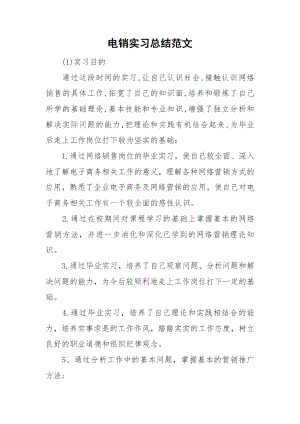 电销实习总结范文.docx