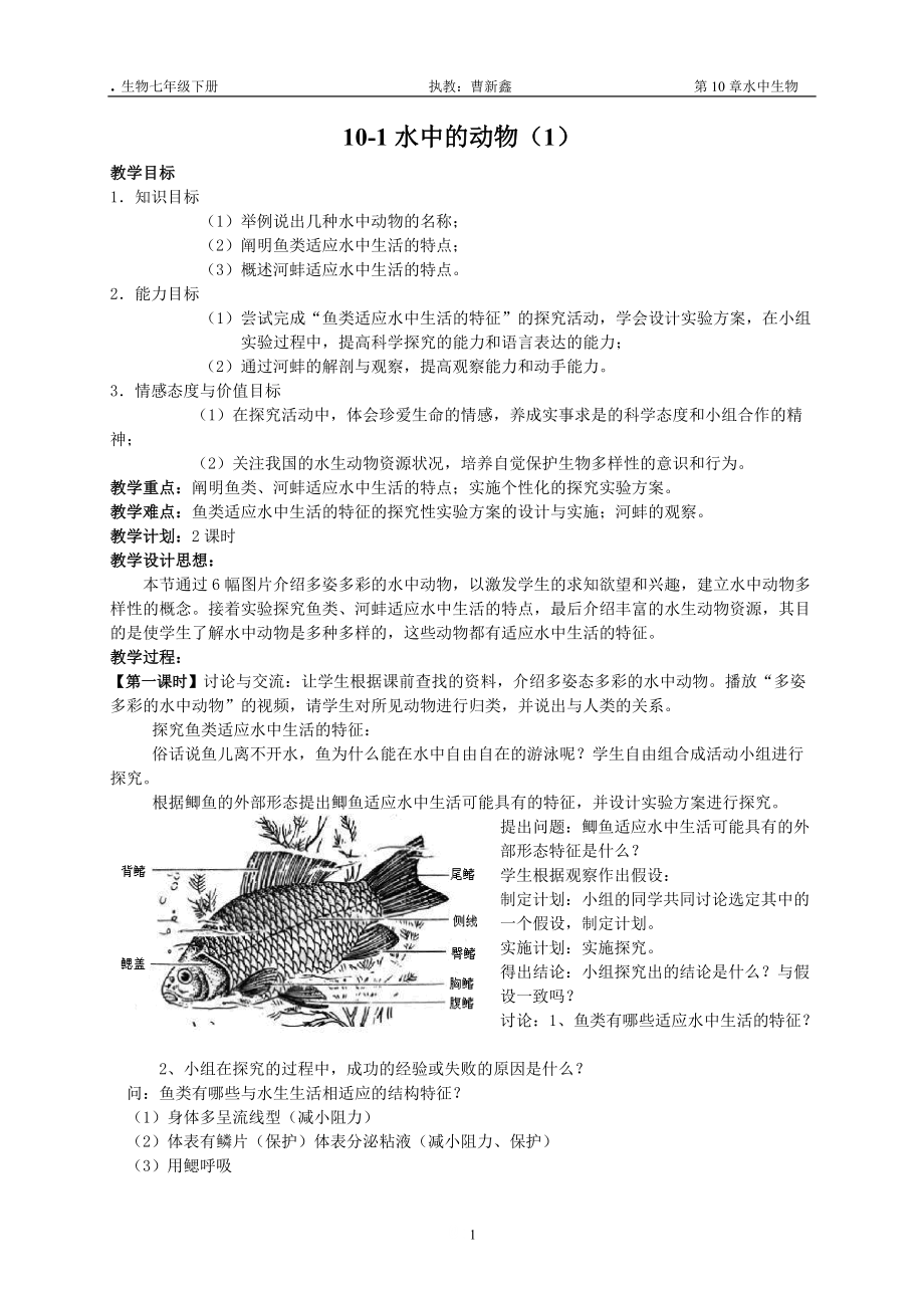 《水中的动物》word版.docx_第1页