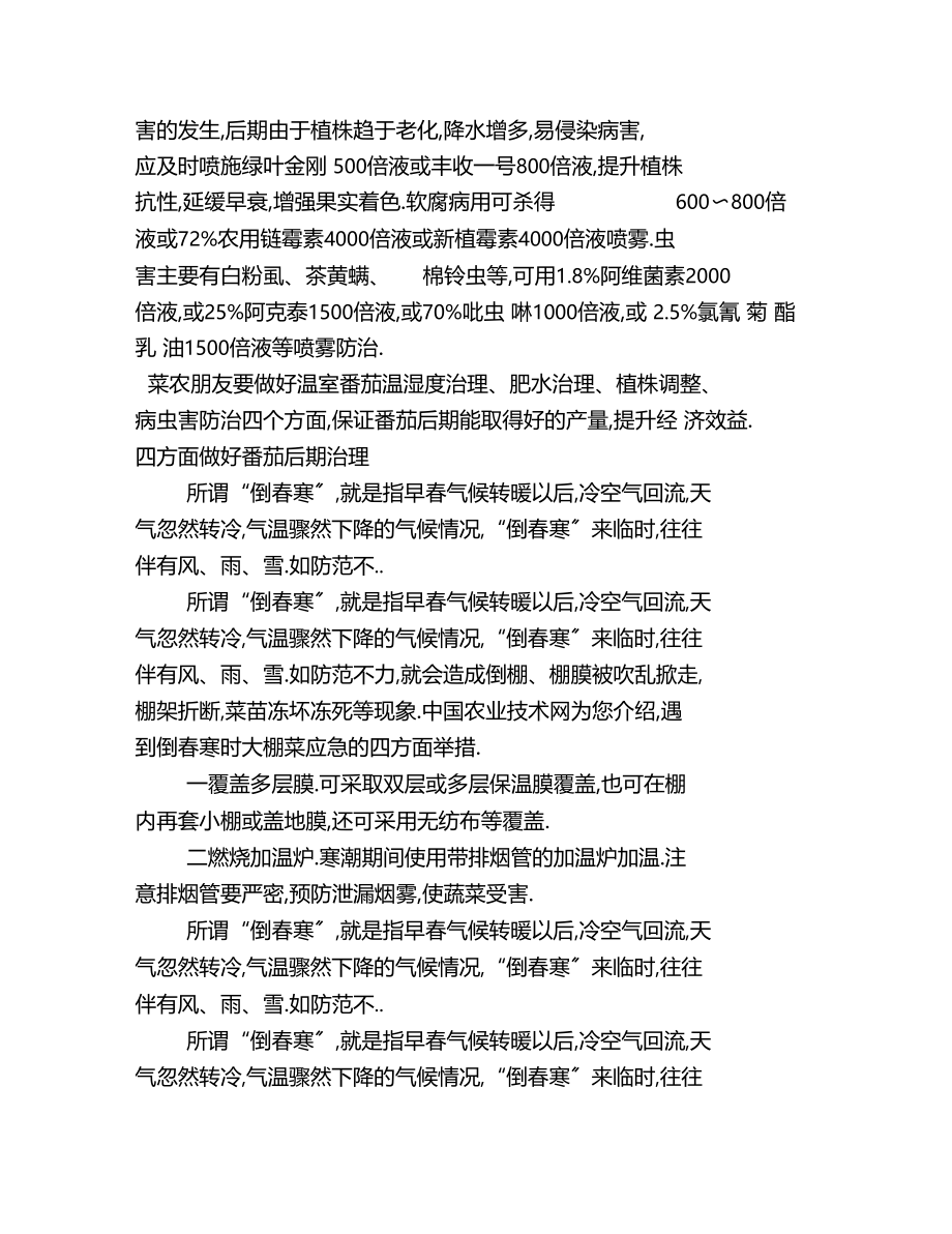 整理四方面做好番茄后期管理.docx_第2页