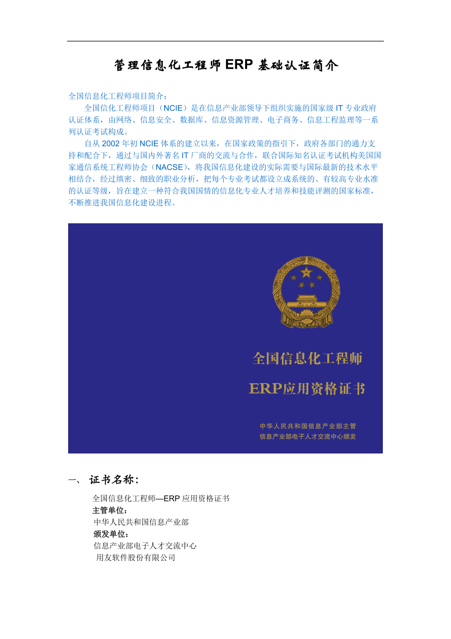 全国信息化工程师项目简介.docx_第1页