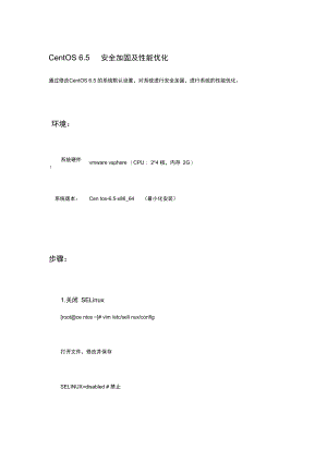 CentOS6.5安全系统加固及性能优化.doc