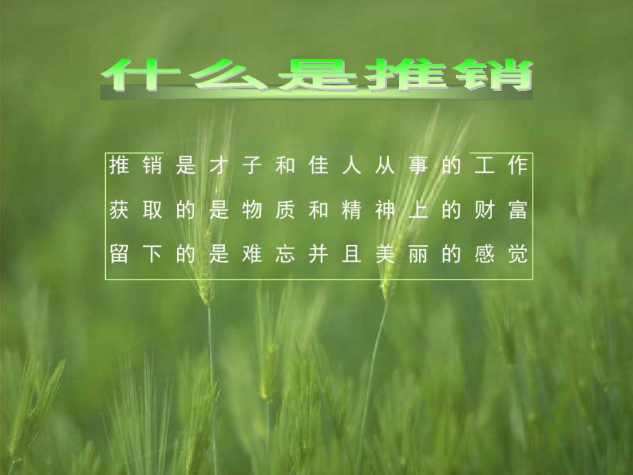 FZ专业化推销-精选文档.docx_第2页