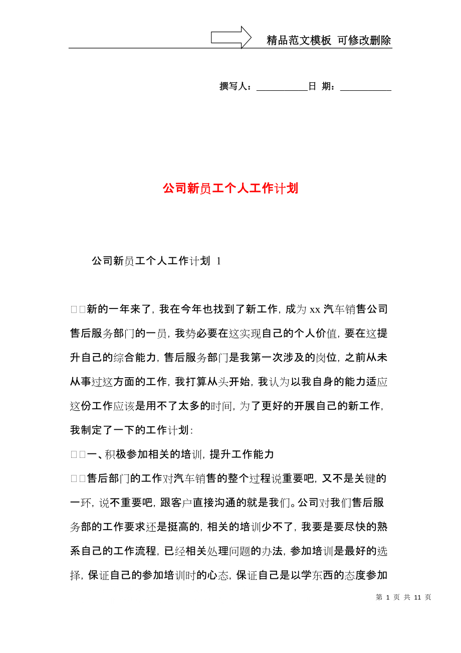 公司新员工个人工作计划(1).docx_第1页