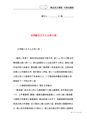 公司新员工个人工作计划(1).docx