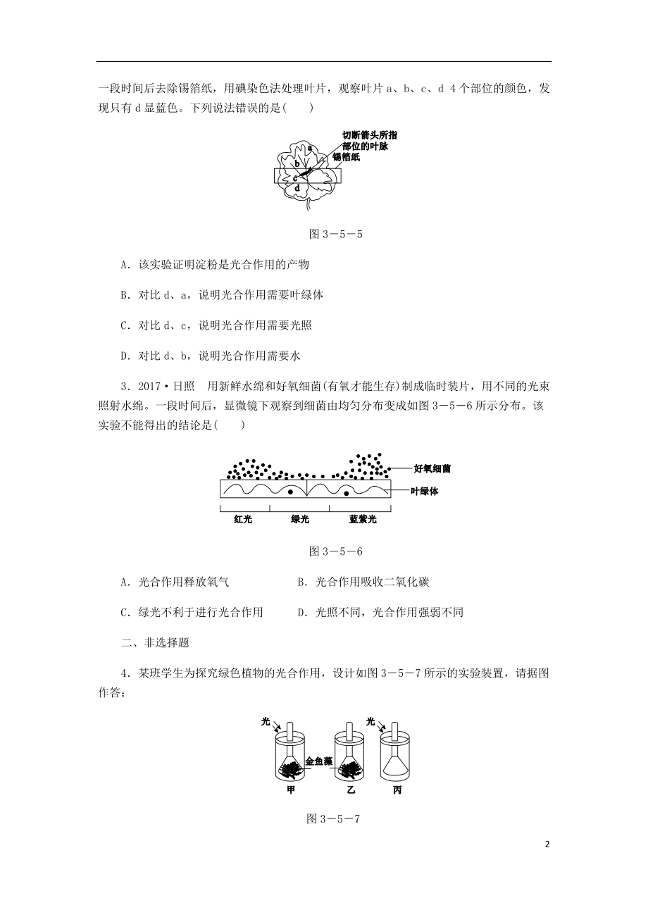 2018年七年级生物上册第三单元第五章第一节光合作用吸收二氧化碳释放氧气第1课时光合作用吸收二氧化碳释放氧气练习新版新人教版20180614344.doc_第2页