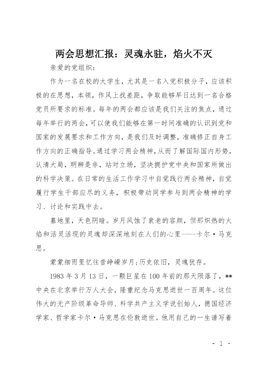 两会思想汇报：灵魂永驻,焰火不灭.doc_第1页