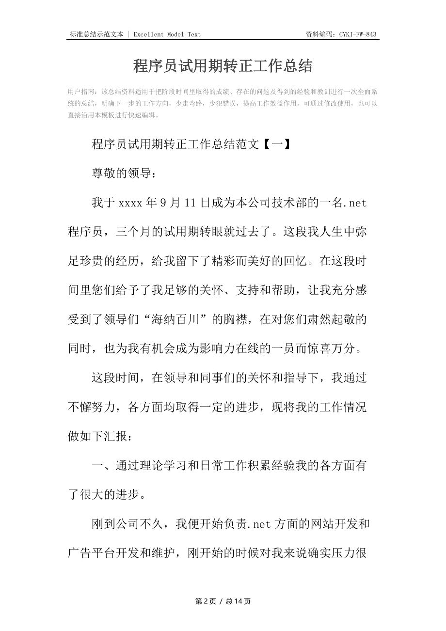 程序员试用期转正工作总结2.docx_第2页