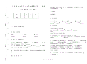 专题混合小学语文小升初模拟试卷B卷.docx