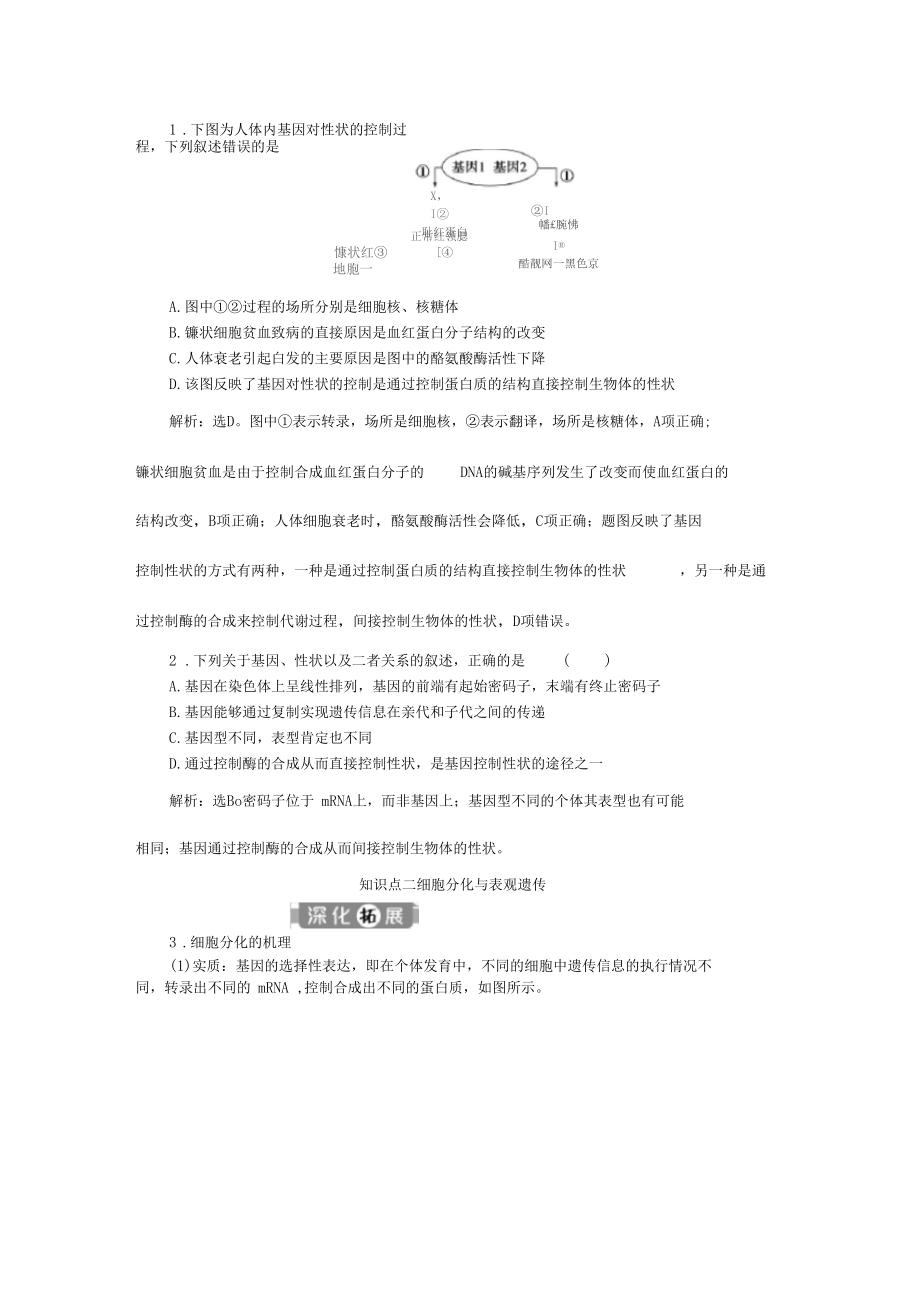 2019-20202学年新教材人教版必修2第2节基因表达与性状的关系学案.docx_第3页