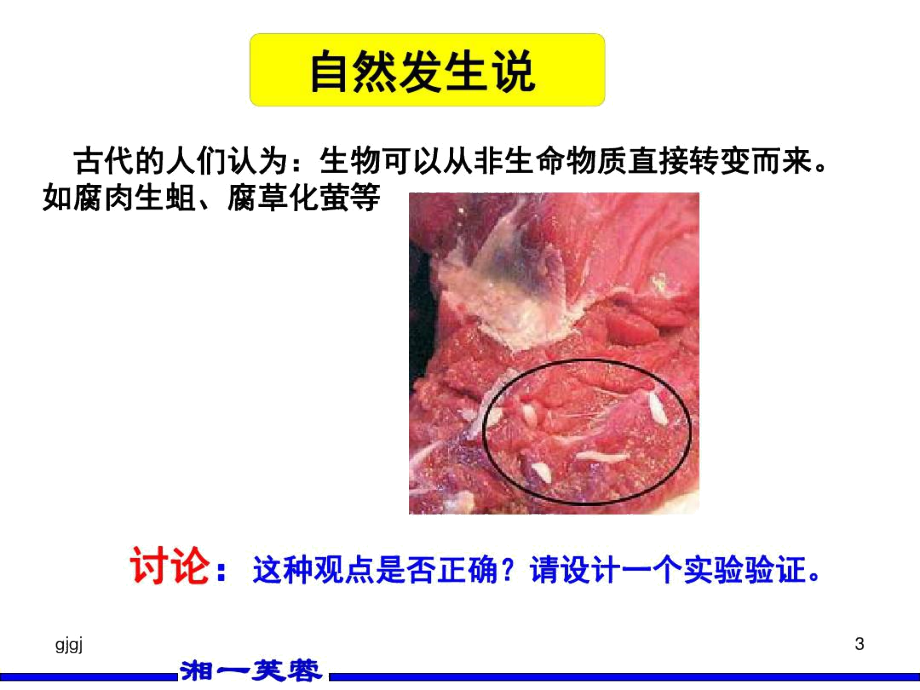 第三章-生命的起源和进化精选版学习资料.docx_第3页