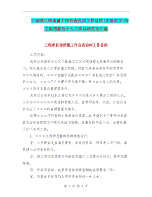 工程项目部质量工作自查自纠工作总结(多篇范文)与工程预算员个人工作总结范文汇编.docx