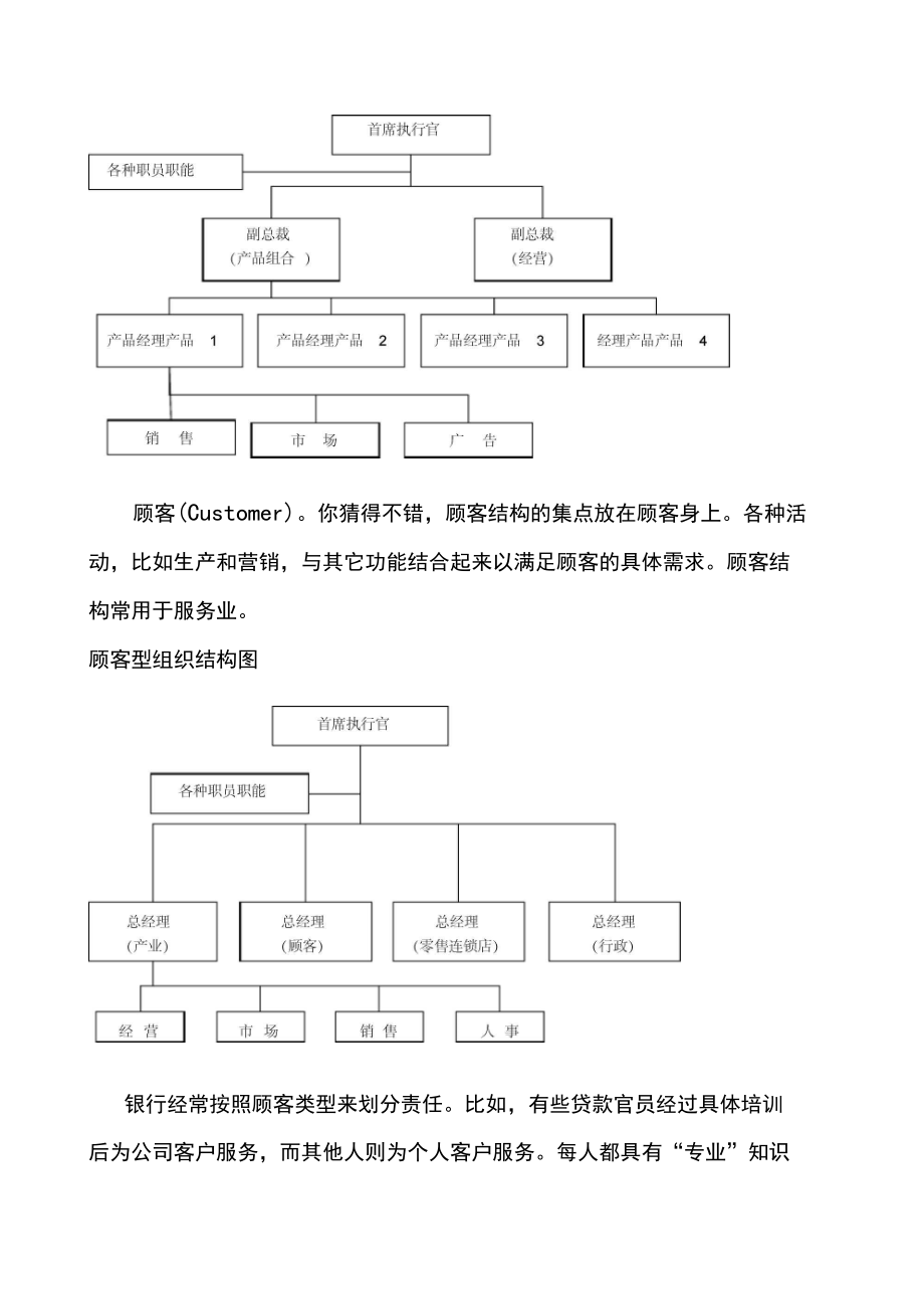各种性质公司组织结构图.docx_第2页