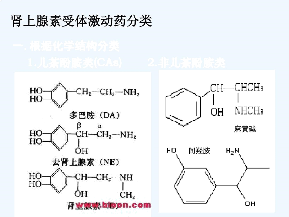 肾上腺素激动药.docx_第2页