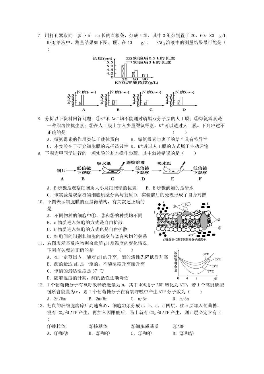 福建省北斗中学2010-2011学年高三生物上学期期末考试试卷.doc_第2页