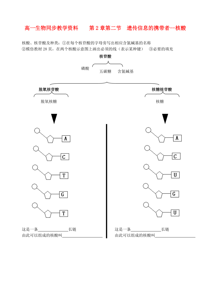 高一生物 第2章第二节 遗传信息的携带者--核酸同步教学资料.doc_第1页