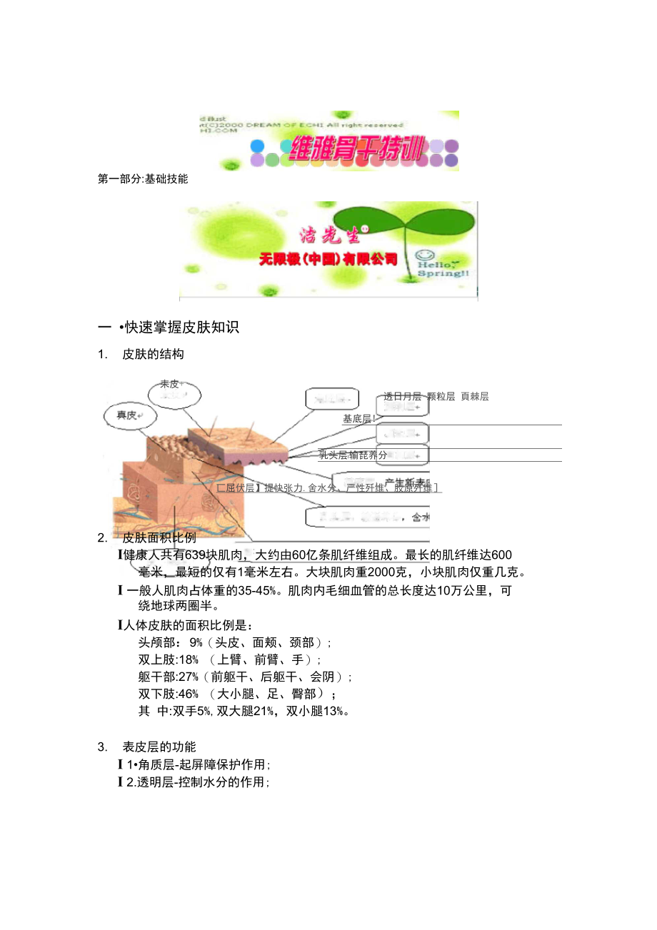 [培训]维雅骨干特训——基础技能.doc_第1页