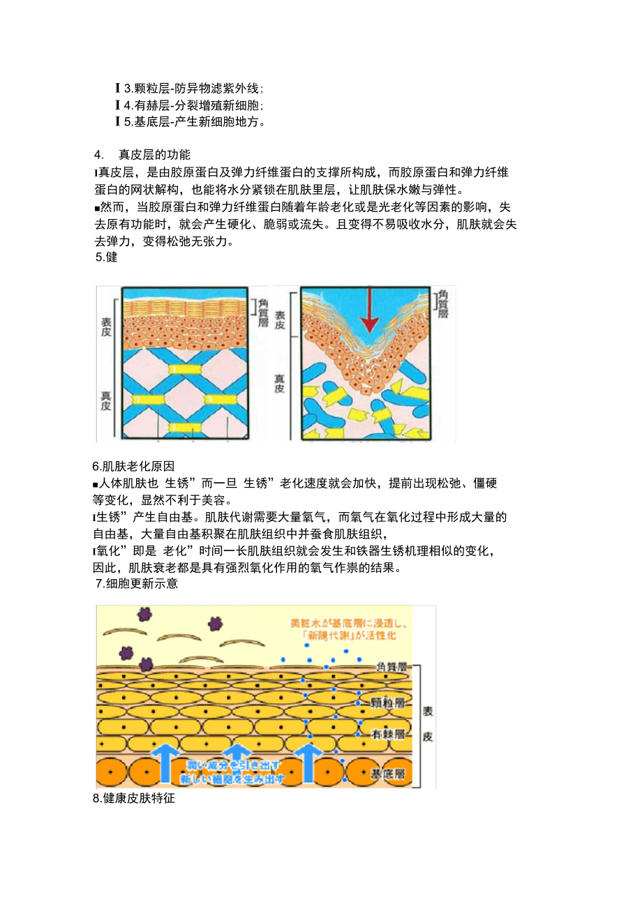 [培训]维雅骨干特训——基础技能.doc_第2页