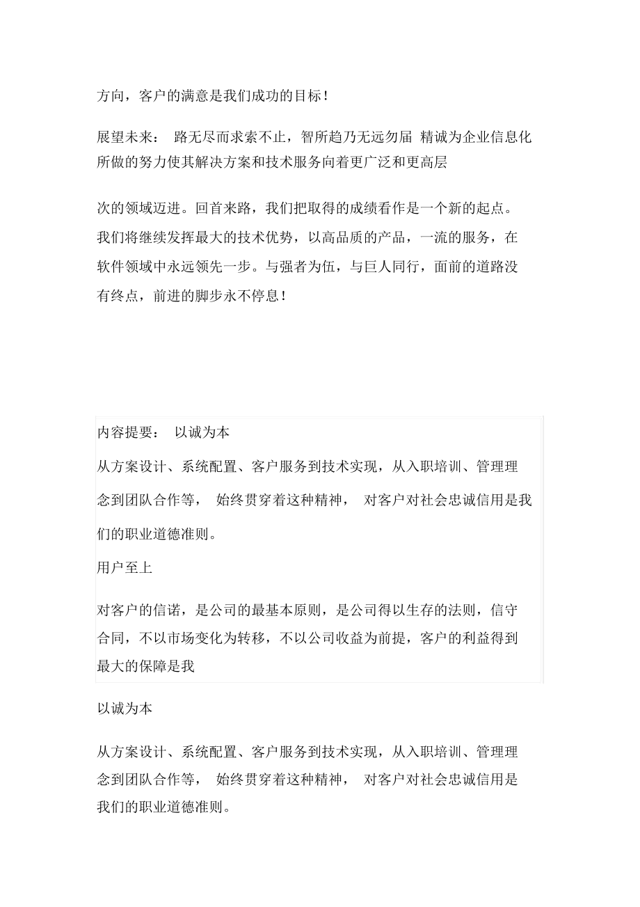 软件公司企业文化.docx_第2页