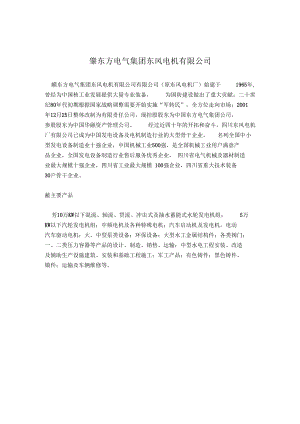 东方电气集团东风电机有限公司简介.docx