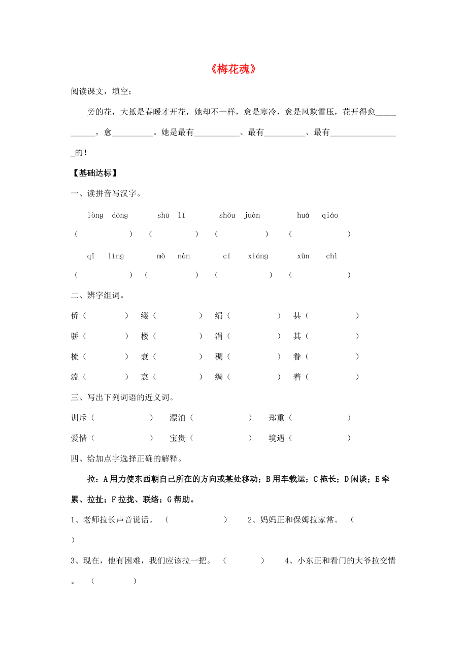 五年级语文上册 6.梅花魂习题 新人教版 试题.doc_第1页